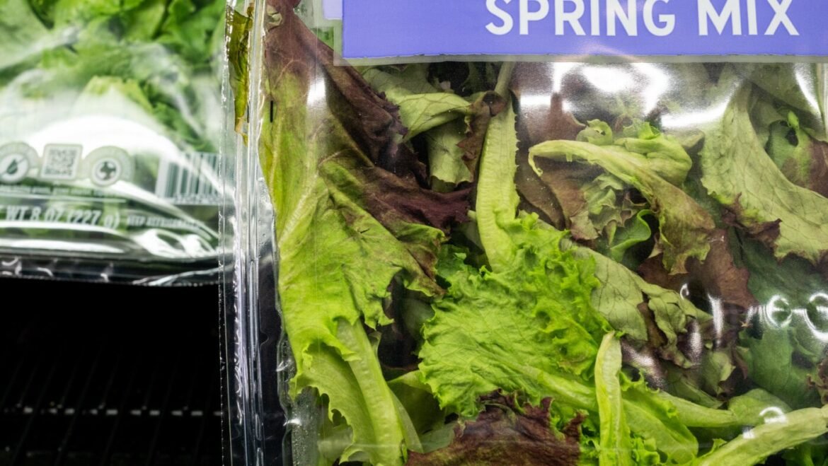 The word ‘parasite’ originated from ancient Greek literature : NPR