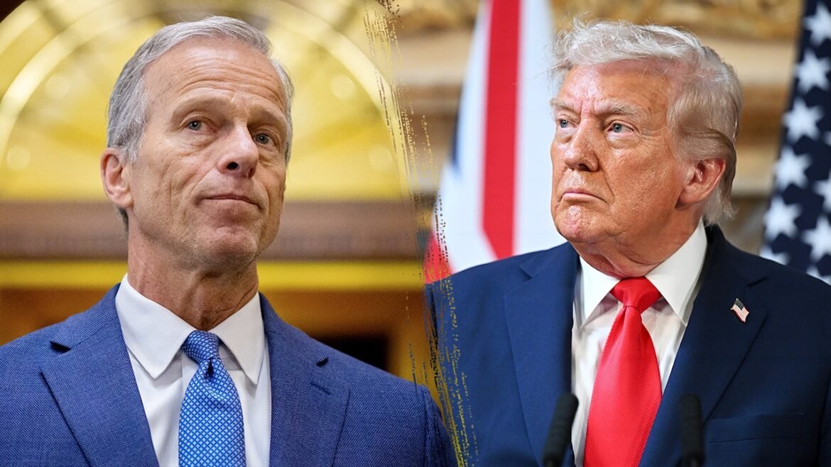Trump's confidence in Thune wavers as SAVE America Act flounders