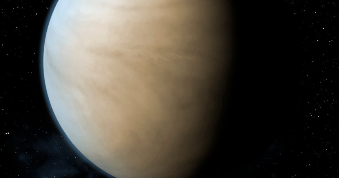 Venus In Virgo Horoscope 2026 Is Here