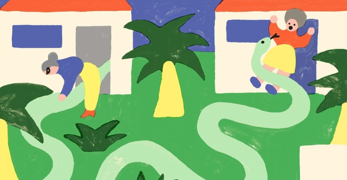 Why neighbor feuds cause so much drama