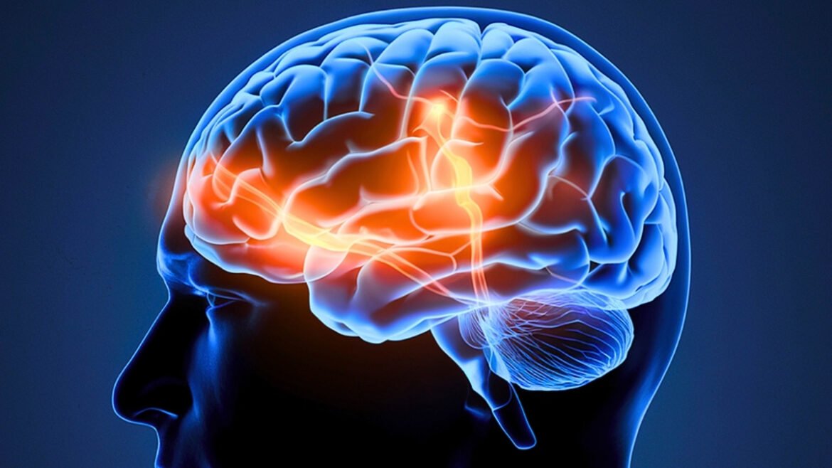 Your Brain Really Can Learn to Multitask – And Scientists Just Revealed How : ScienceAlert