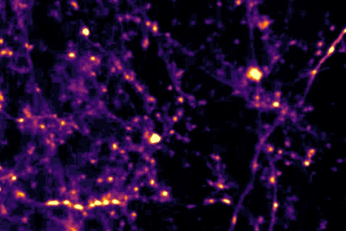 Brain circuit keeps tabs on what just happened to aid judgment of what’s happening now | MIT News