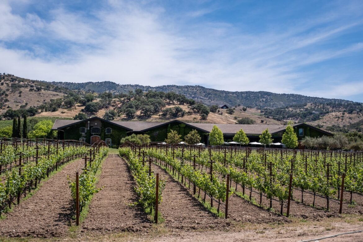 California sets medal record at Decanter World Wine Awards 2026
