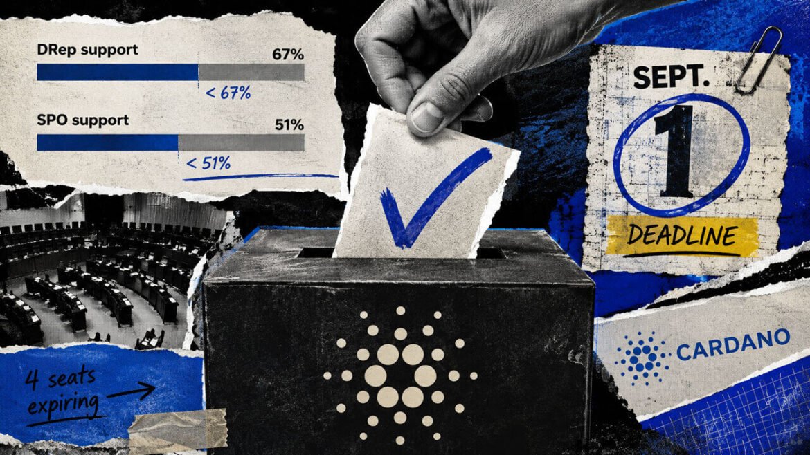 Cardano Committee Vote Nears Sept. 1 Deadline