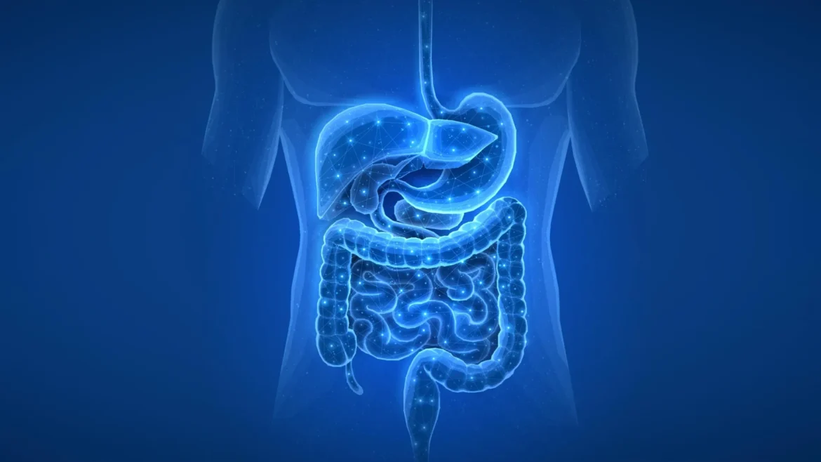 Common medications may change your gut for years