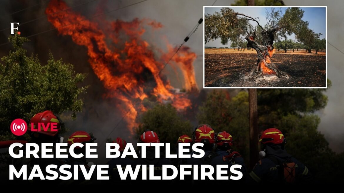 EUROPE WILDFIRE LIVE: Greece Wildfires Turn Into 'Megafire' as Homes and Forests Burn