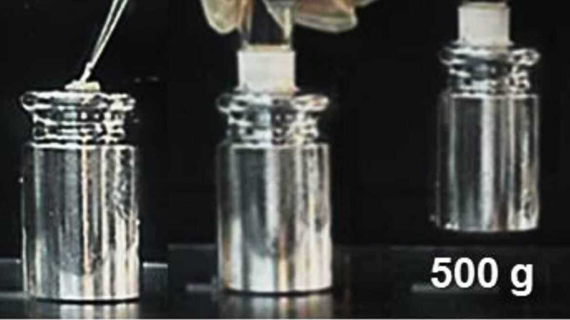 Engineers Create Superglue That Bonds in 10 Seconds, Holds For Years And Gets Stronger Underwater : ScienceAlert