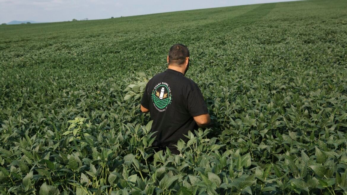 Farmers are feeling the pain of rising costs. But will they abandon Republicans? : NPR