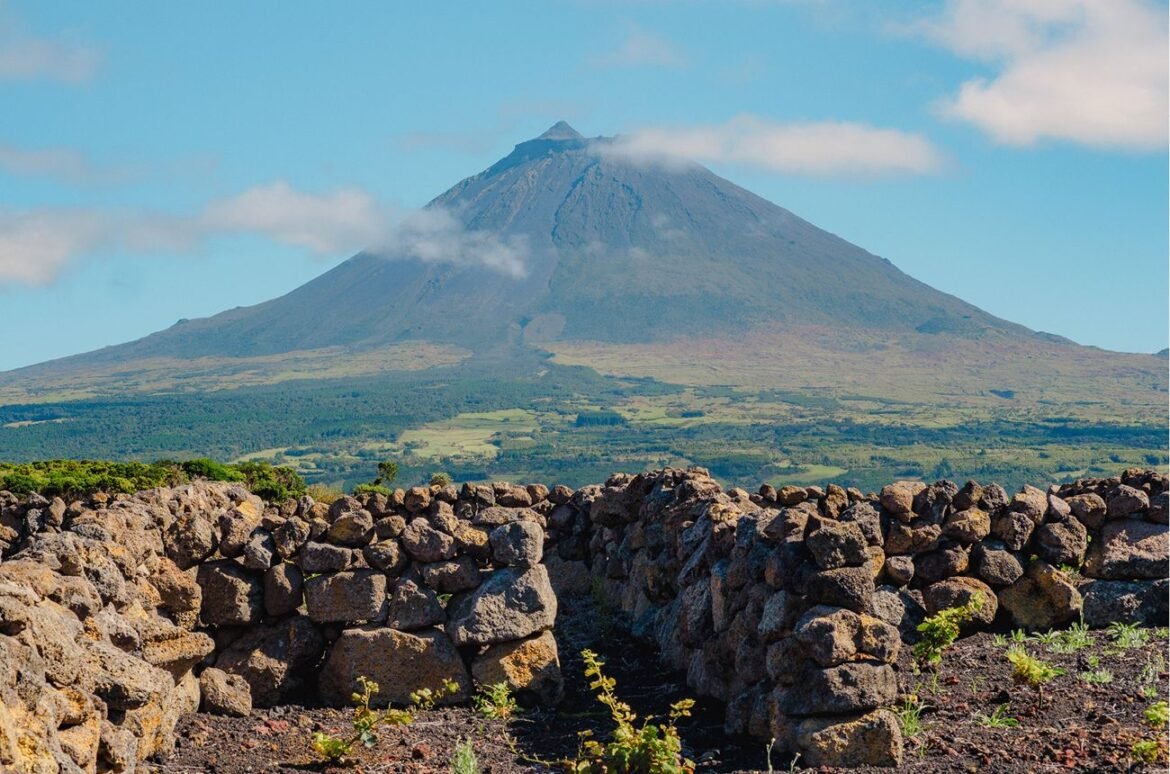 Wine growing region of Pico island in the Azores