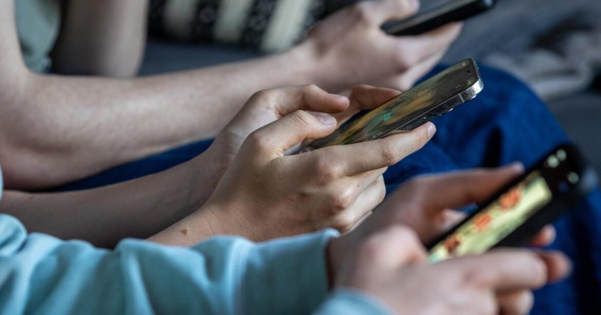 France's social media ban for children under 15 struck down by top constitutional authority