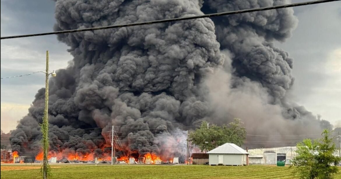 In the Wake of a Toxic Disaster, Roseland Parents Still Struggle to Keep Their Children Safe – Mother Jones