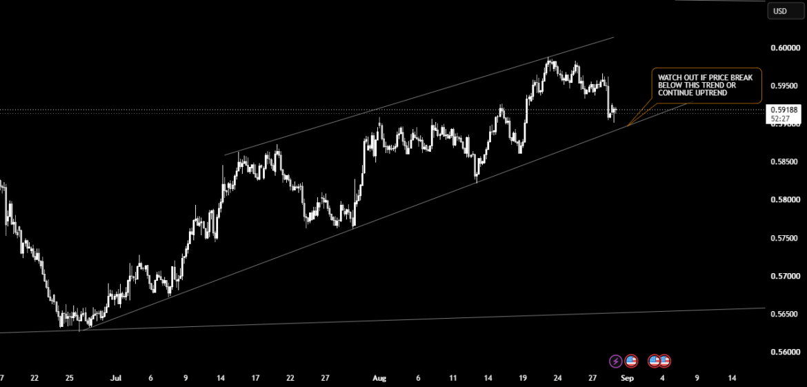 NZDUSD - Bullish Channel Still Intact
