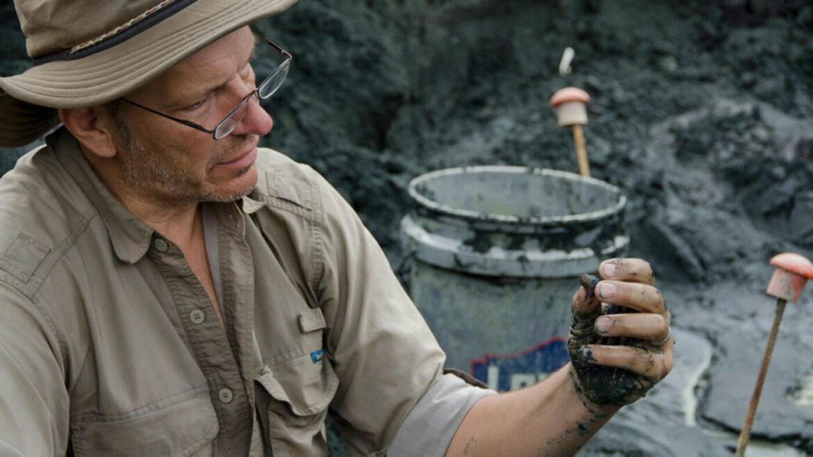 New Jersey's a fossil hotspot, explaining how dinosaurs died : NPR