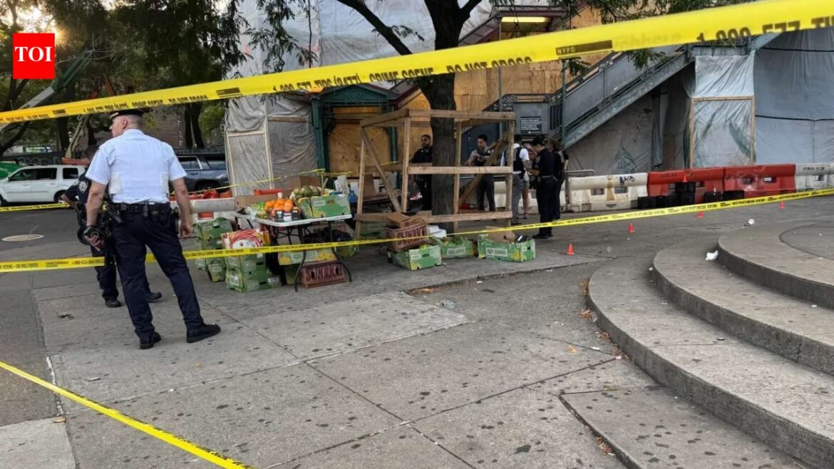 New York Shooting: Video: 2 injured after gunman opens fire near New York subway station | World News