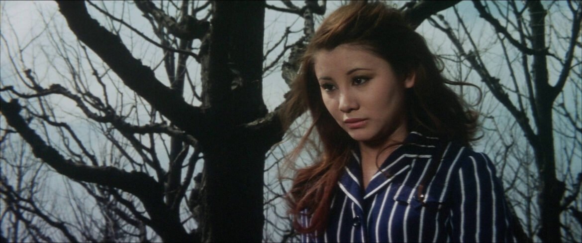 Play It Cool (1970) by Yasuzo Masumura Film Review