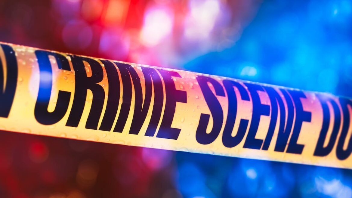 Seminole man faces murder charge in death of mother, 82, deputies say
