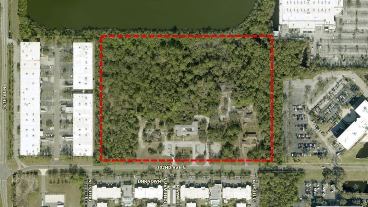 St. Petersburg warehouse approved after contentious tree debate