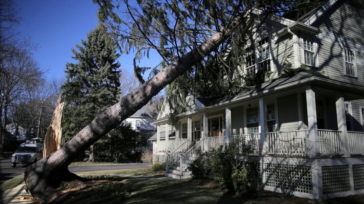The True Cost of Delayed Insurance Checks for Homeowners
