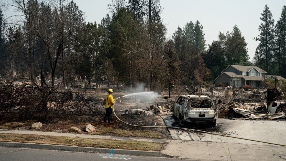 The real cause of most wildfires? People : NPR