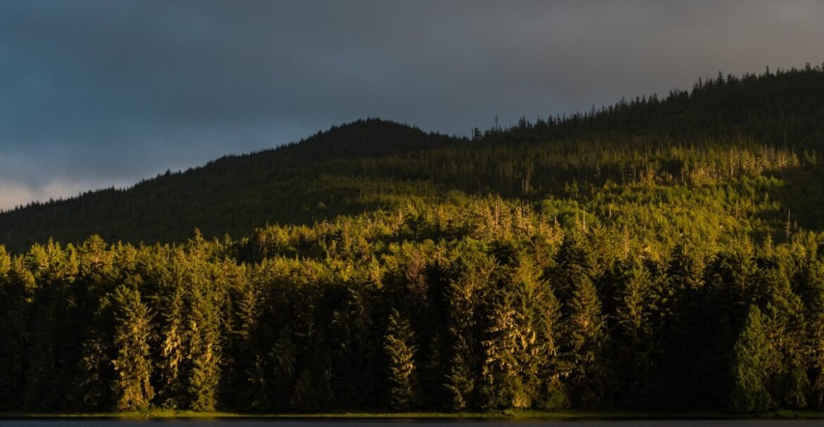 Trump administration moves to end “roadless rule” for national forests: What to know