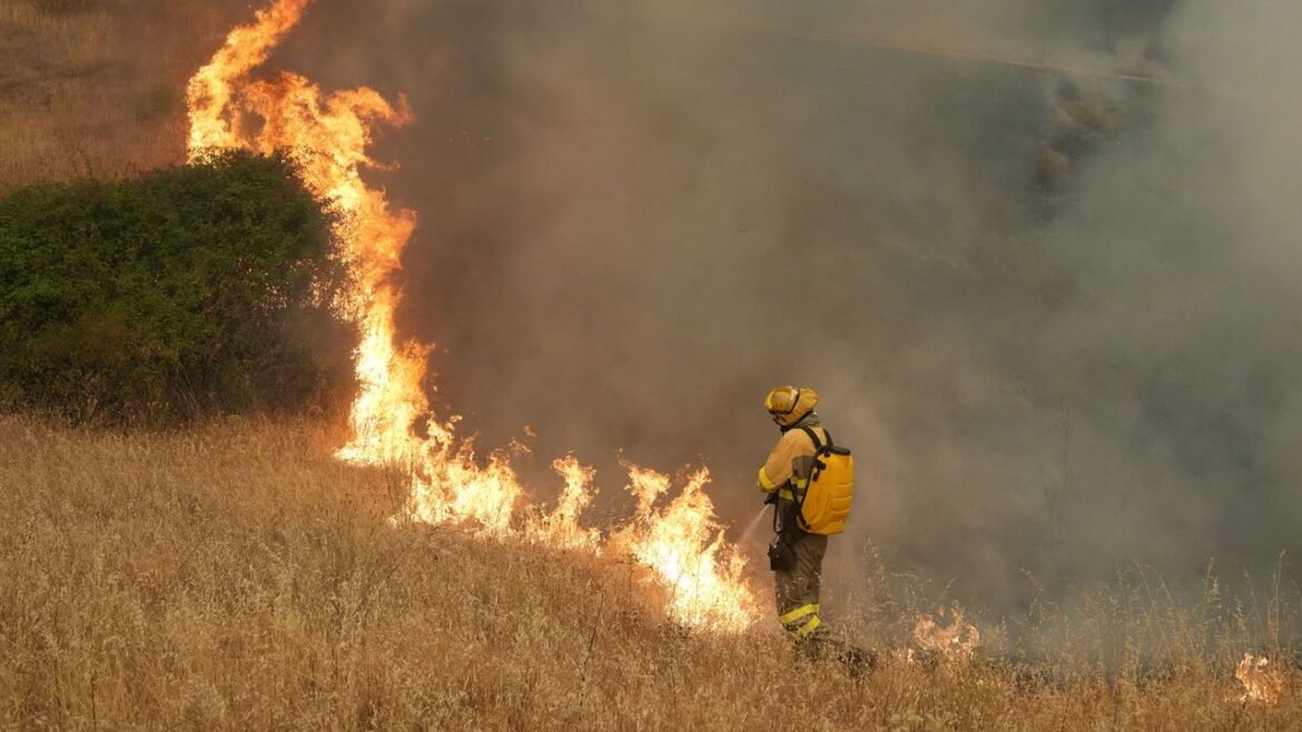 Why Is Europe Burning? | The New Yorker