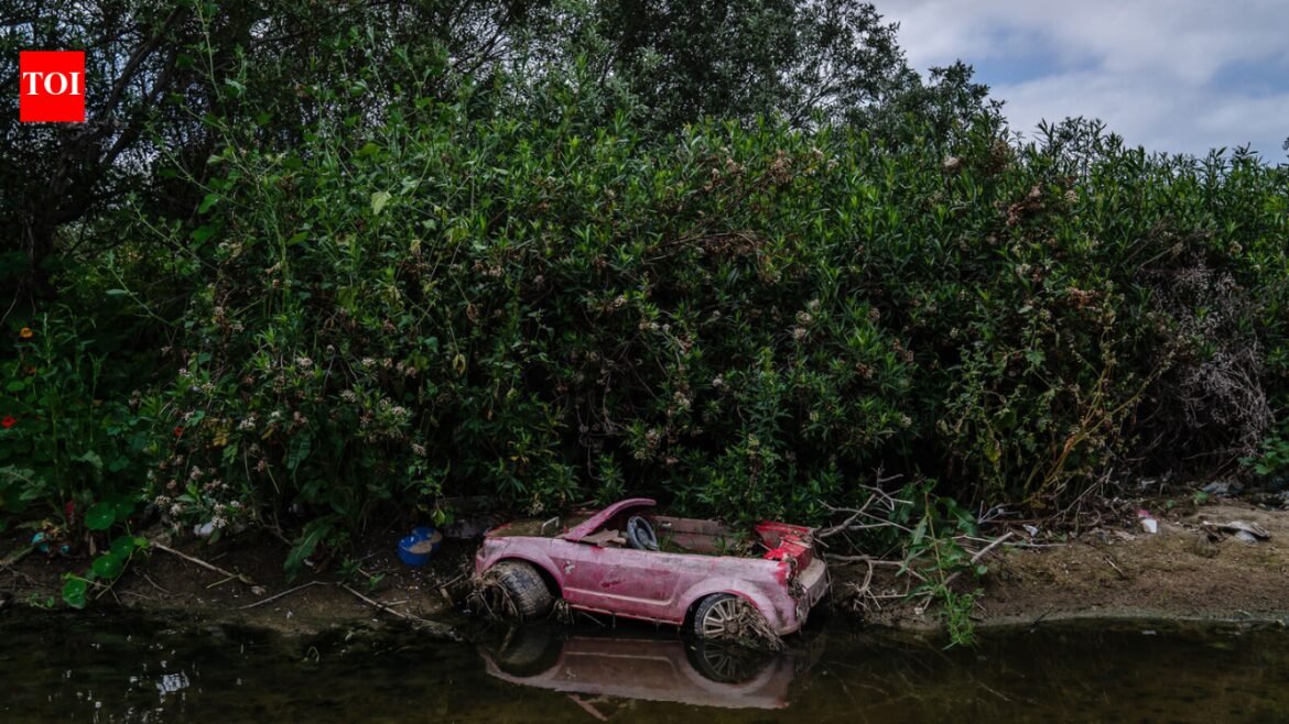 Wildlife Sanctuary: In 1986, a California city began polishing sewage through constructed marshes; the 307-acre system is now a wildlife sanctuary that has hosted over 300 bird species