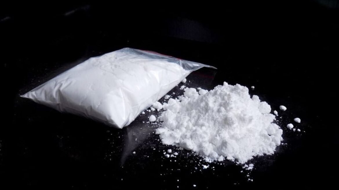 2 men in Florida caught with house full of cocaine. One is 73, the other 89, cops say