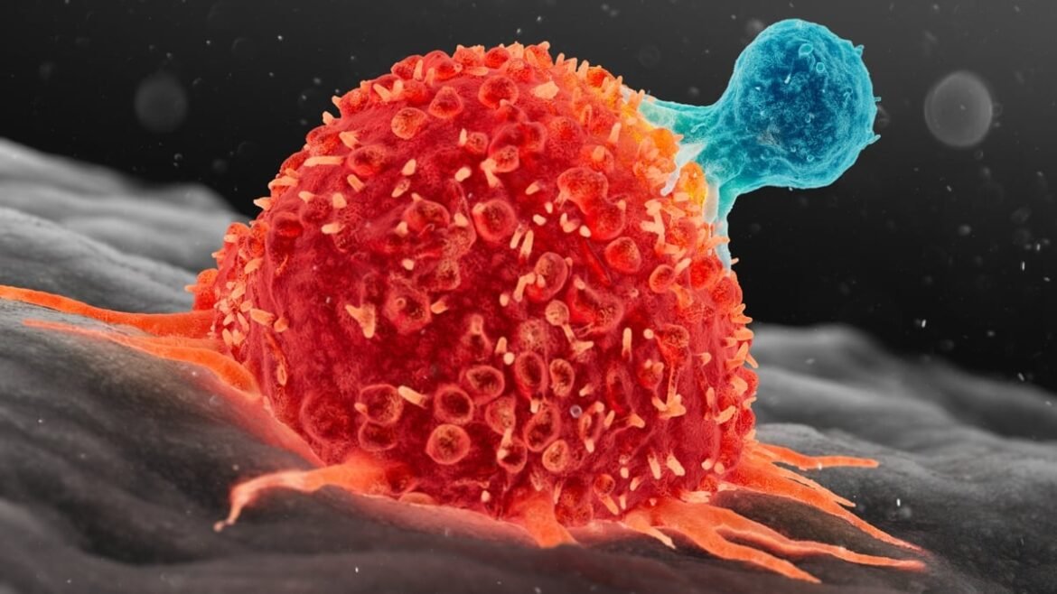 A 3-Year-Old's Metastatic Cancer Disappeared After Two Doses of Experimental Therapy : ScienceAlert