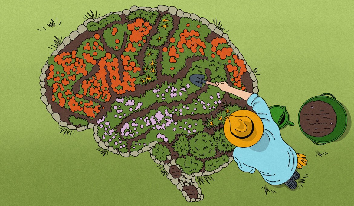A Healthy Imagination Remains Important Throughout Adulthood and Old Age