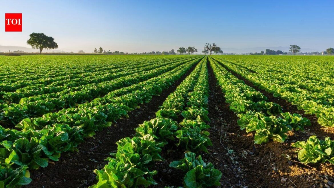 A North Florida family permanently protected 816.46 acres with a $2.665 million easement; farming can continue while the land stays undeveloped inside a 1.6-million-acre wildlife corridor
