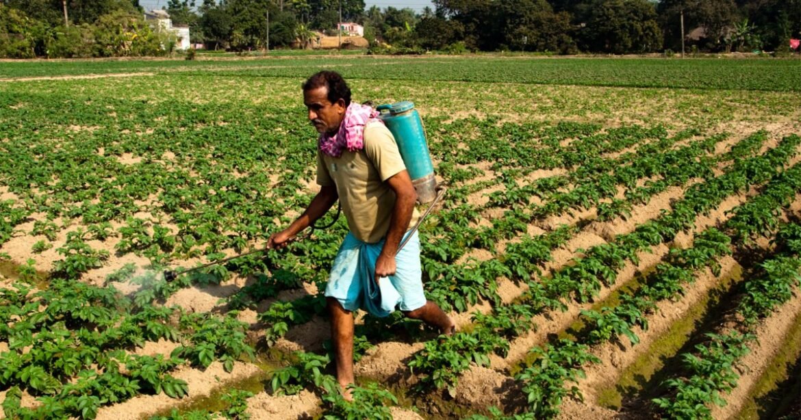 Almost Half the World’s Farmers Are Poisoned by Pesticides Each Year – Mother Jones