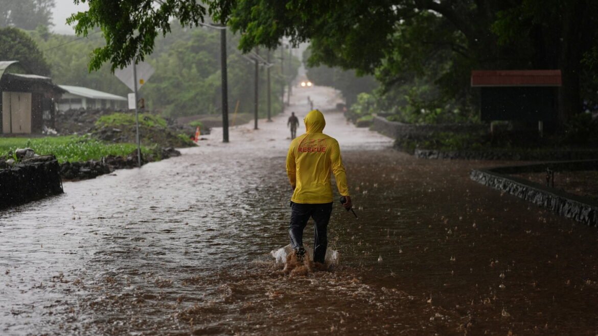Baja California braces for Hurricane Polo as Nolo threatens Hawaii : NPR