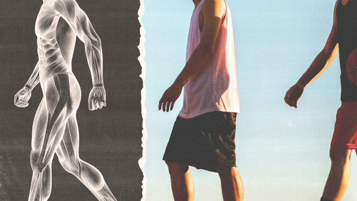 Does Walking Build Muscle, Burn Fat, or Both?