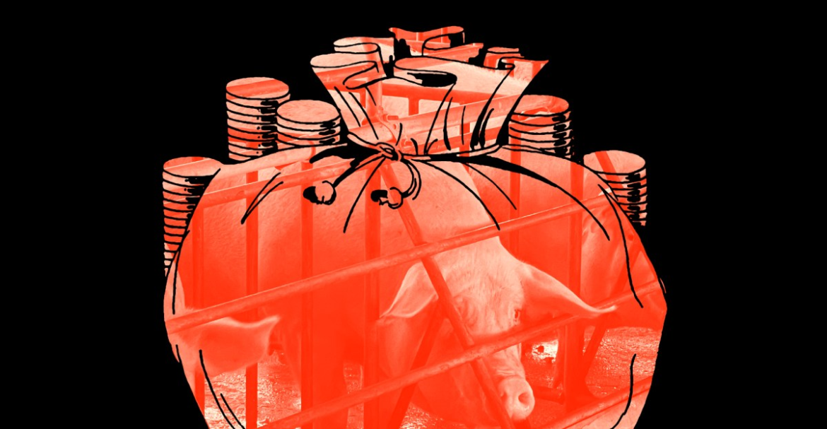 Exclusive: Inside the pork industry’s $66 million pipeline to a powerful lobbying group