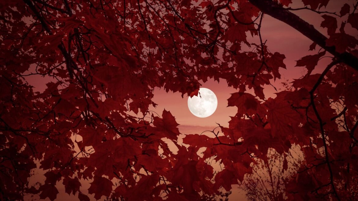 Fall stargazing 2026: The best skywatching sights in autumn (and how to see them)