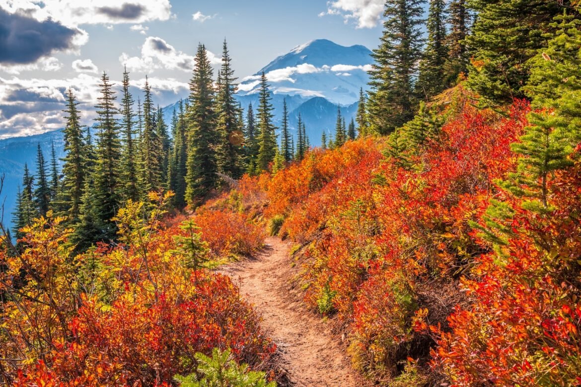 Here's where you can see fall foliage across the US in 2026