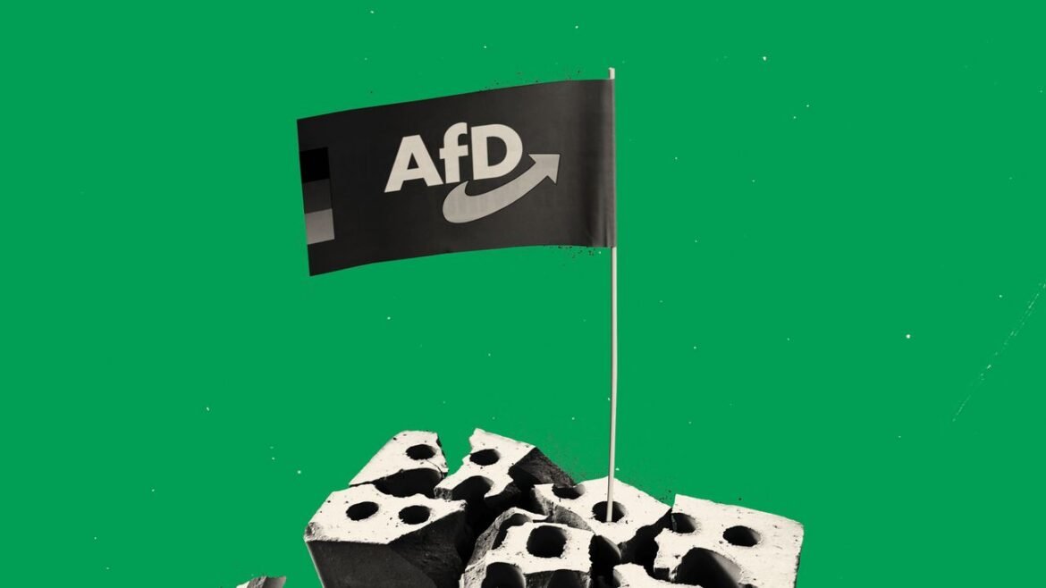 How to Protect Democracy | The New Yorker