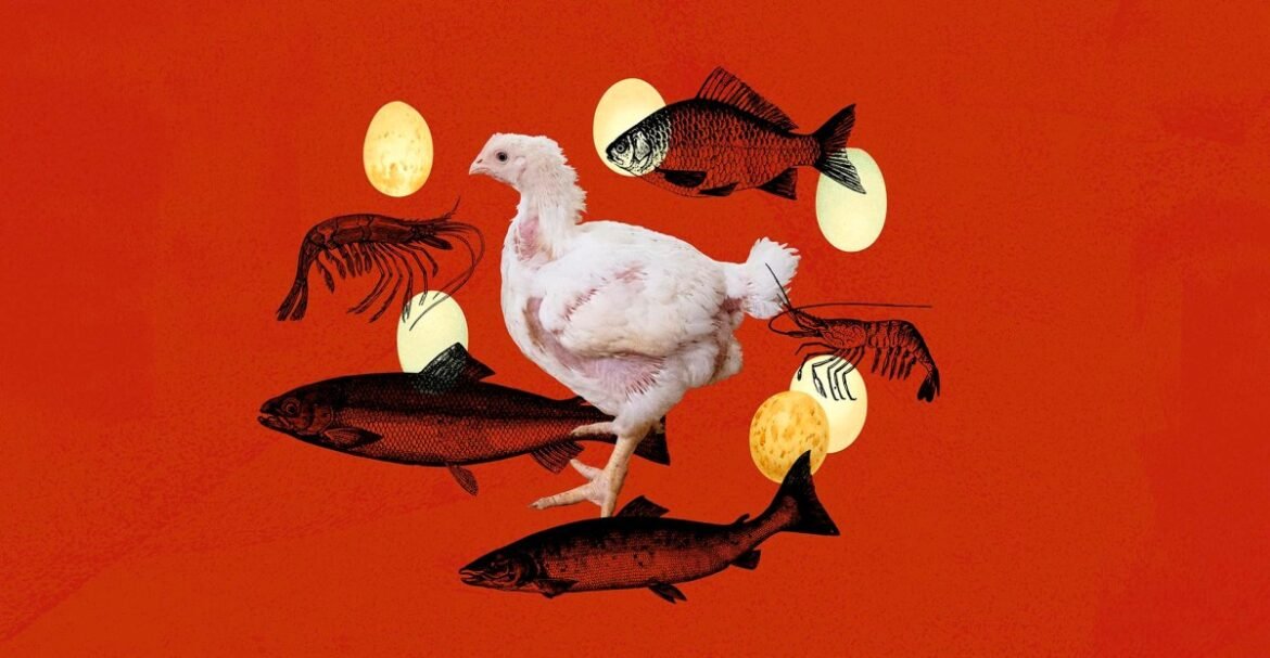 How to help a lot of animals (without going vegetarian)