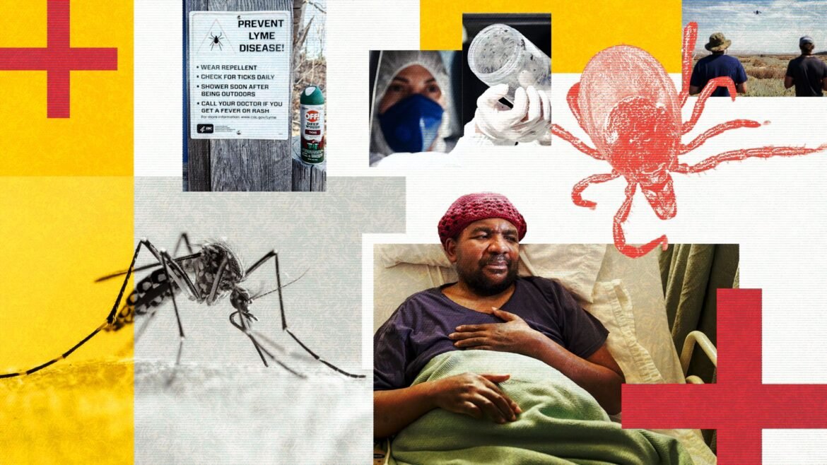 A collage of images of ticks and mosquitos, hospitals and patients