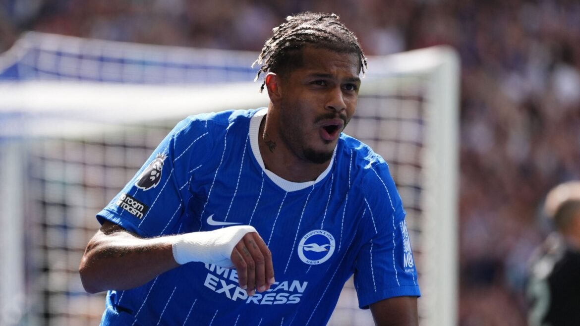 Live Commentary - Brighton vs Leeds