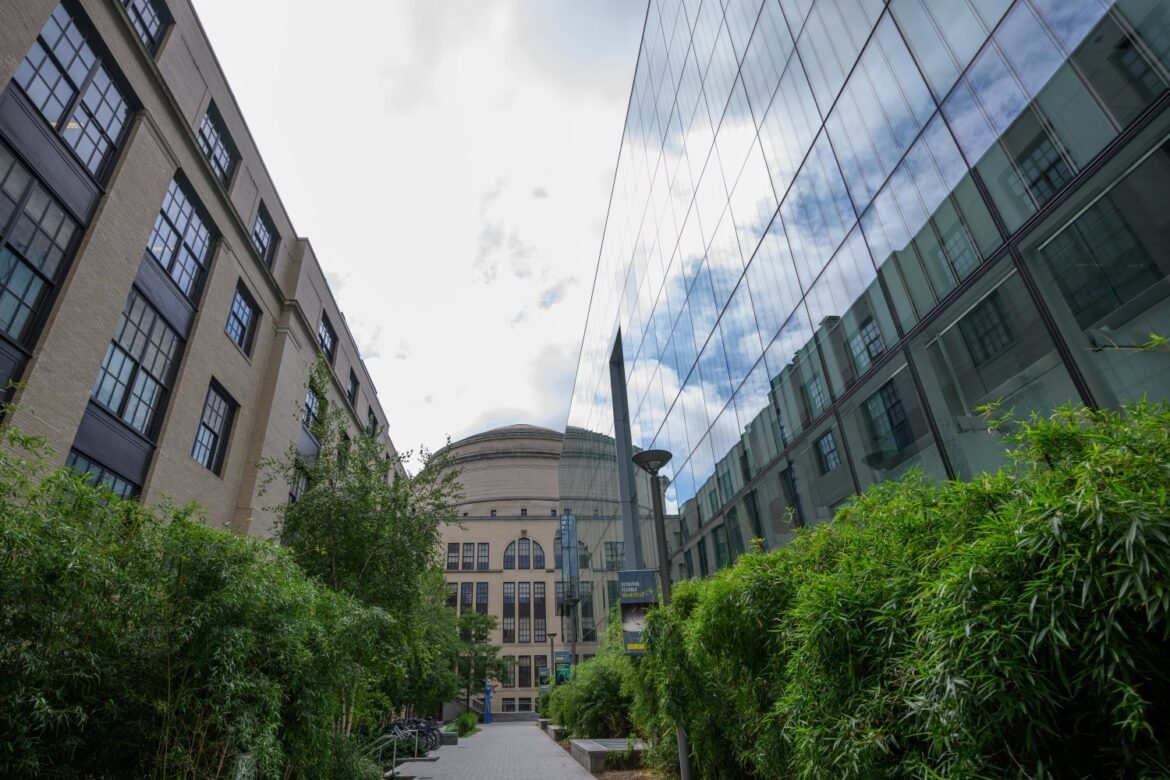MIT Quantum Initiative launches postdoctoral fellowship program | MIT News