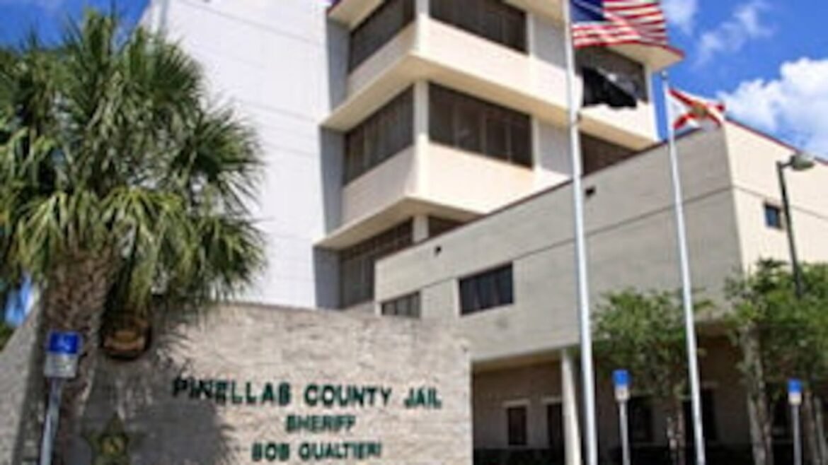 Pinellas residents voice concerns over immigration detentions