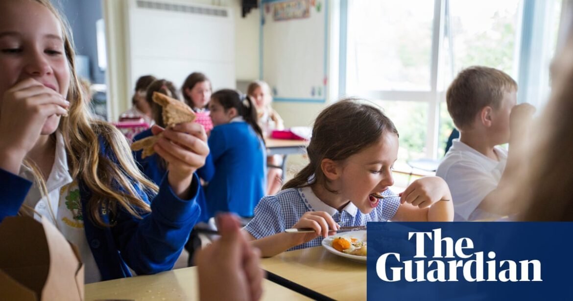Schools in England face checks to root out unhealthy lunches | Schools