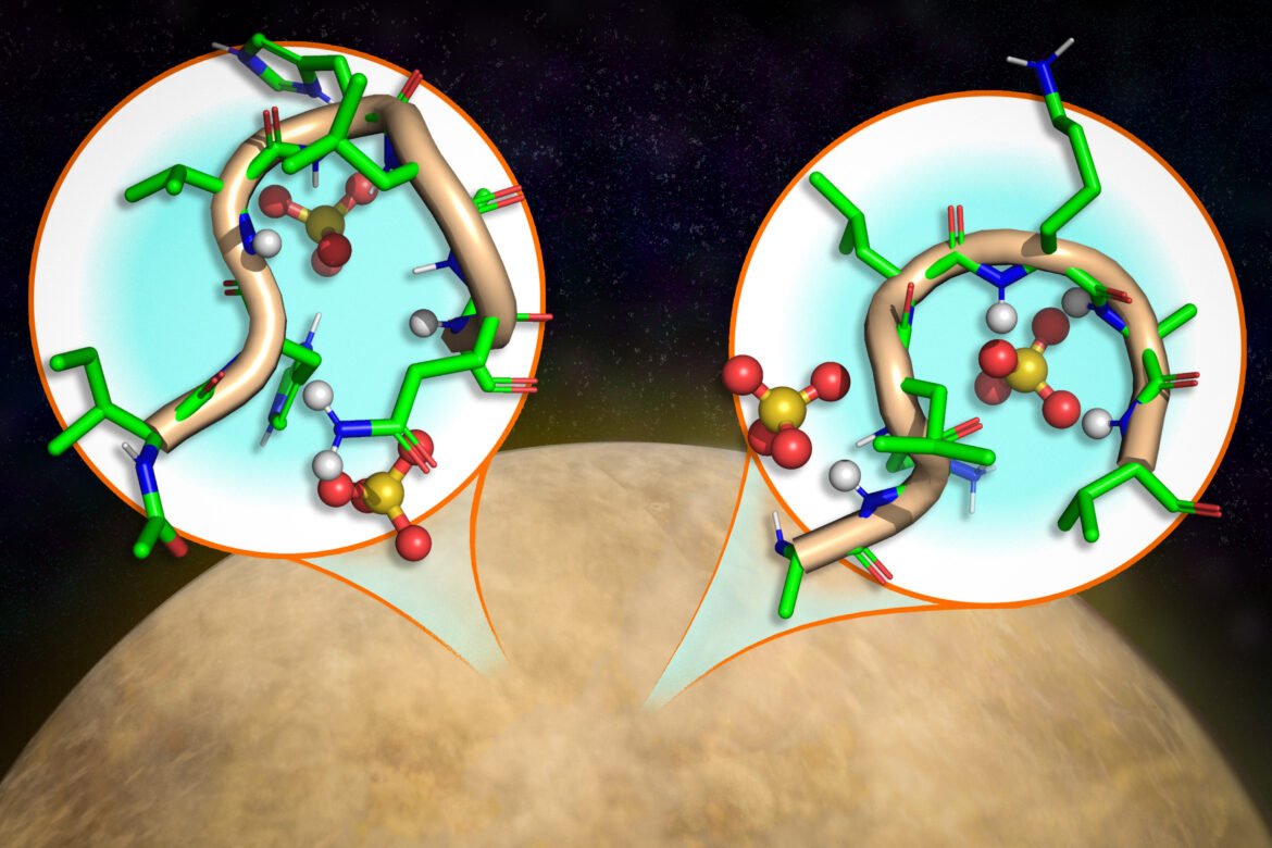 Study: Peptides can form well-defined structures in harsh, Venus-like conditions | MIT News