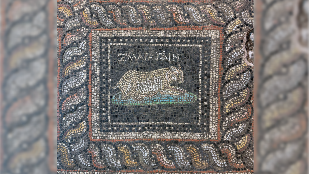 Stunning Roman-era mosaic discovered in Turkey features 'Emerald' the cat and 'Ocean' the dog