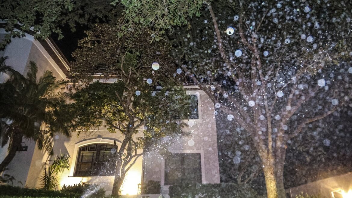 Tampa Bay officials extend watering restrictions through March