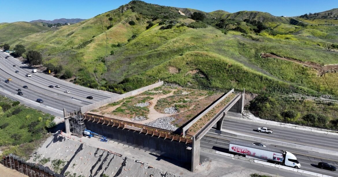 The world’s largest wildlife crossing is almost ready to open