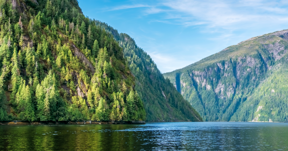US Forest Service Chief With Industry Ties Pushed for More Logging on Public Lands – Mother Jones