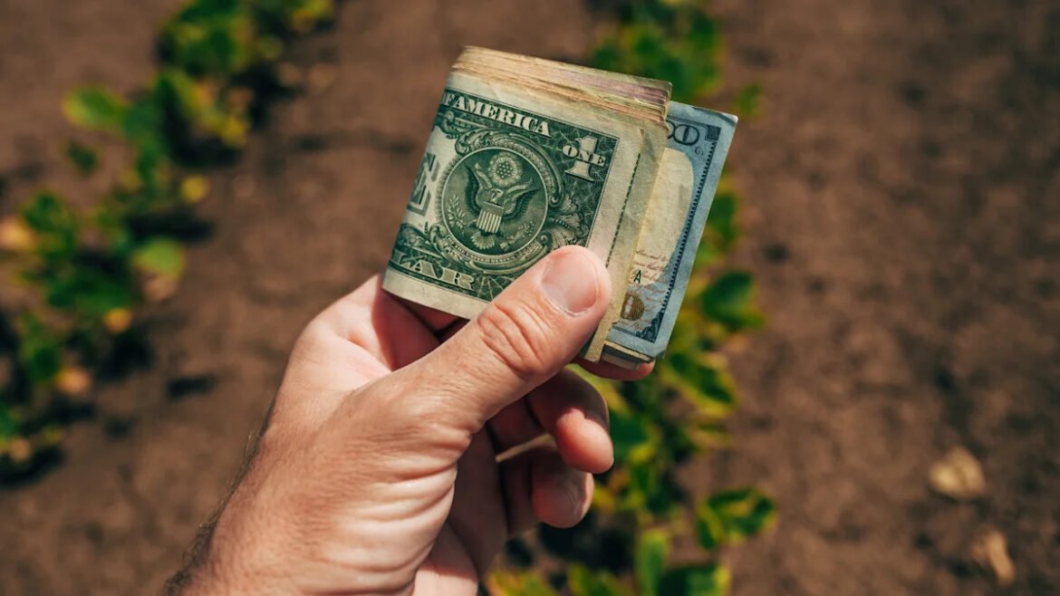 Your savings account is losing inflation fight — where 4 financial advisors grow their cash instead