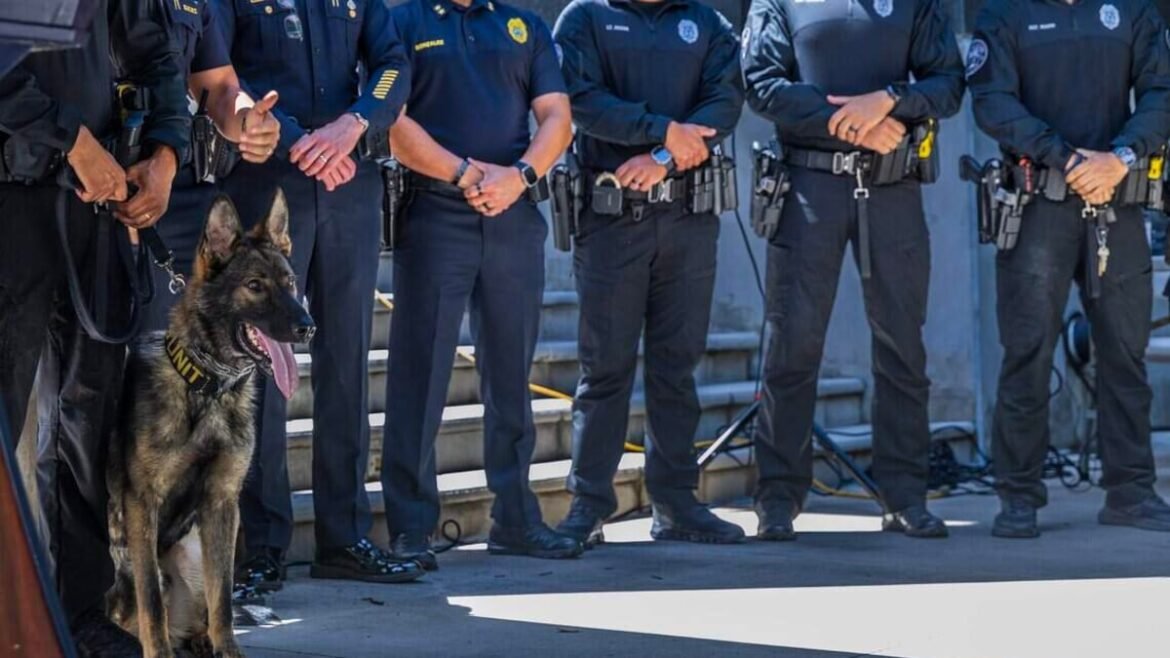‘Intense bonds.’ Who foots the bill when Florida’s police canines retire?